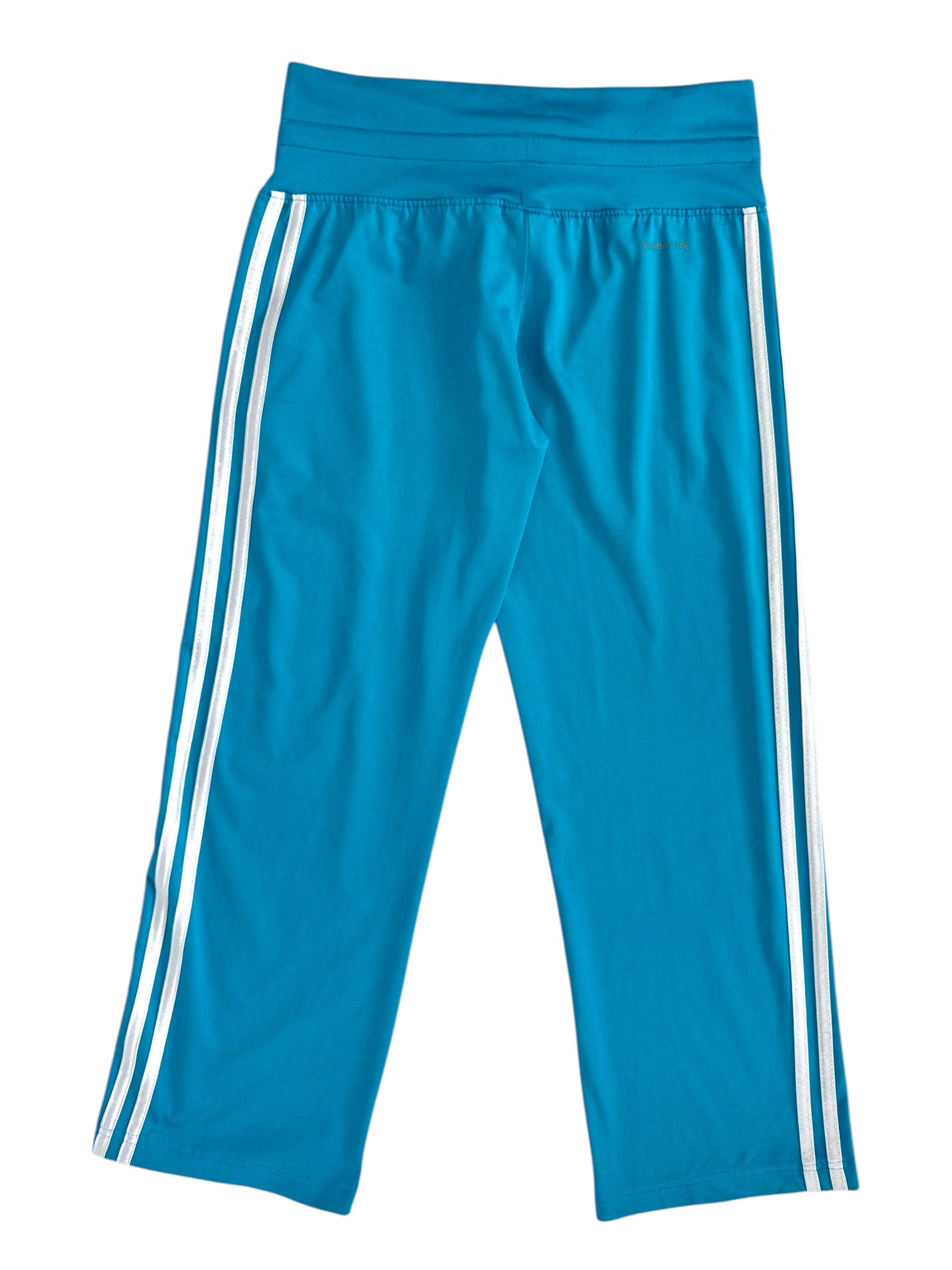 adidasturquoisebermudaflatback